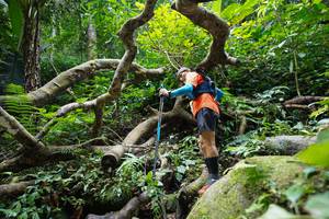 BIB: 
                            <button type="button" onclick="openModal(19407903)" class="btn btn-primary btn-sm float-right btn-popup" data-toggle="modal" data-target=".modal-high-quality">
                        <i class="fas fa-shopping-cart"></i> Add to Cart
                    </button>
                                            <button type="button" onclick="isThisMe(19407903, true)" class="btn btn-success btn-sm float-right btn-popup btn-isme hidden" data-toggle="tooltip" data-placement="bottom" title="นี่คือรูปของคุณใช่ไหม คลิกที่นี่เพื่อเอาเข้าอัลบั้ม">
                        <i class="fas fa-plus"></i> Add to album
                    </button>
                    <button type="button" onclick="isThisMe(19407903, false)" class="btn btn-warning btn-sm float-right btn-popup btn-isnotme hidden">
                        <i class="fas fa-ban"></i> Remove from album
                    </button>